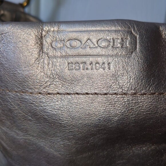 Coach Metallic Carly Hobo Bag - Picture 15 of 16